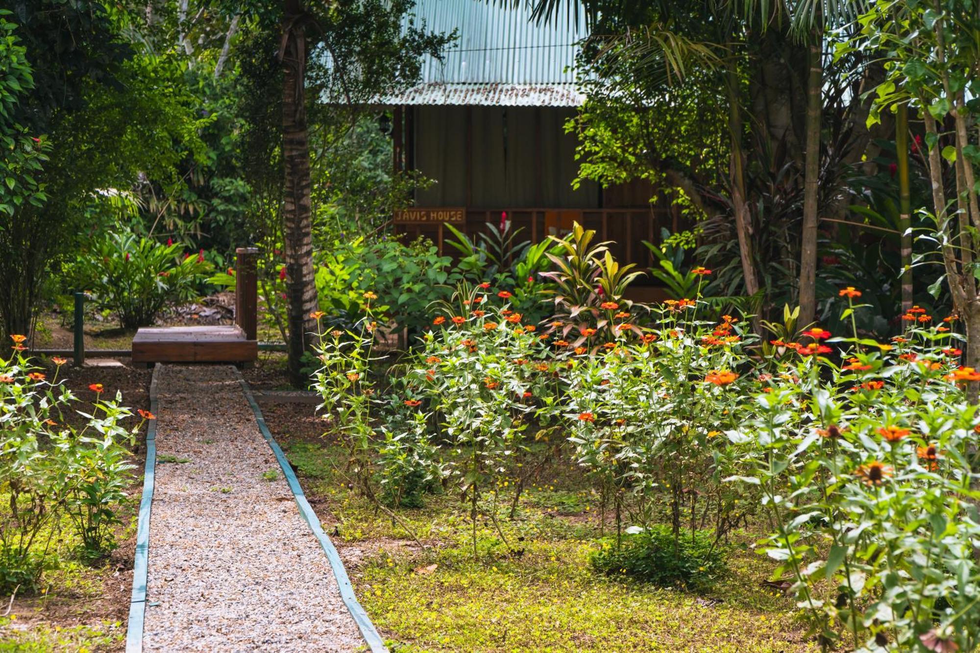 Passiflora Lodge Tambopata Пуерто-Мальдонадо Екстер'єр фото